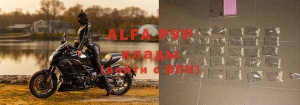 стафф Алзамай