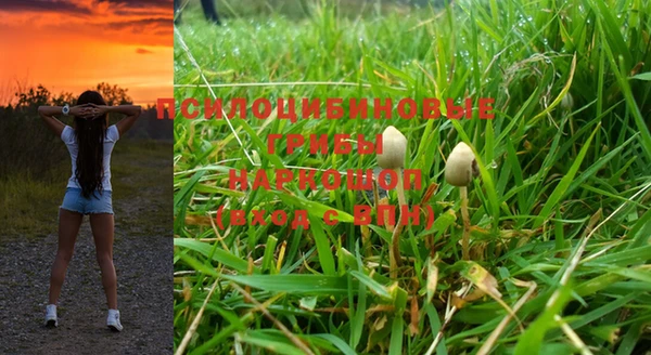 стафф Алзамай