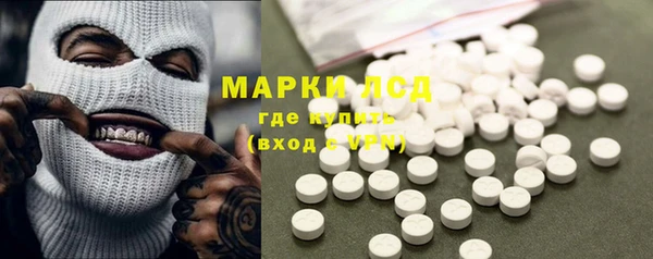стафф Алзамай