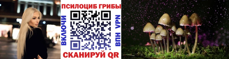 Галлюциногенные грибы Cubensis  Луза 